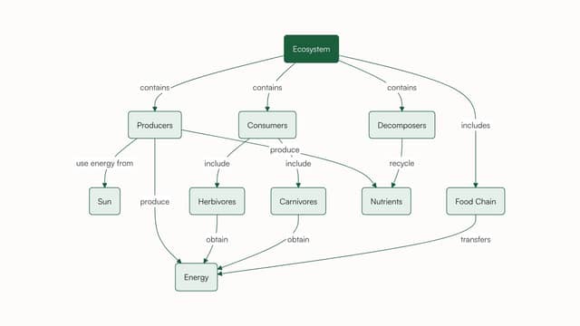 Concept map example: an ecosystem with producers, consumers and decomposers, joined by labelled links