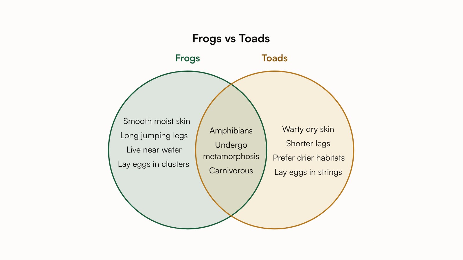 Venn diagram example: frogs vs toads, with the differences in each circle and what they share in the overlap