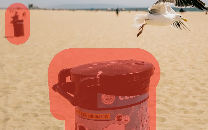 Remove Objects from Photos with AI: Upload Your Photo